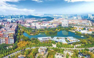 武汉东湖高新区有哪些高中2022