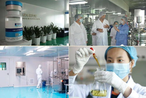 科研实力 5分钟带你了解科玮智造