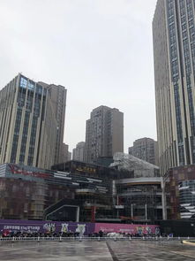 遍地教育盘,高新区真是学区房性价比之王 看看你们关心的学区房