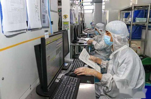 厦门火炬高新区 双节期间抢抓工期 部分项目将于年内实现投产