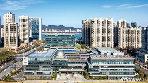 高新区 滨江 ,world class
